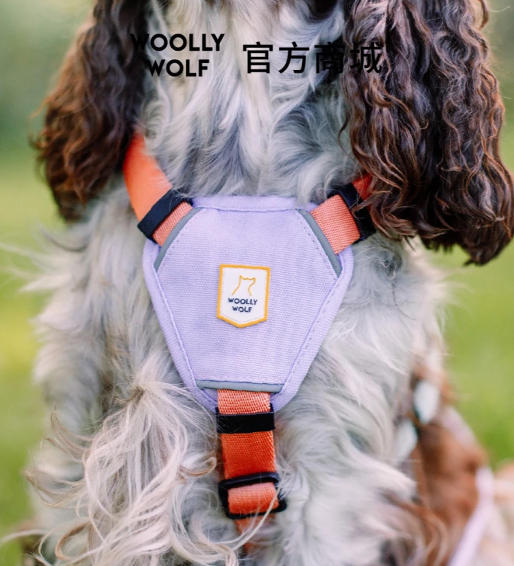 WOOLLY WOLF | 護胸線型胸背帶