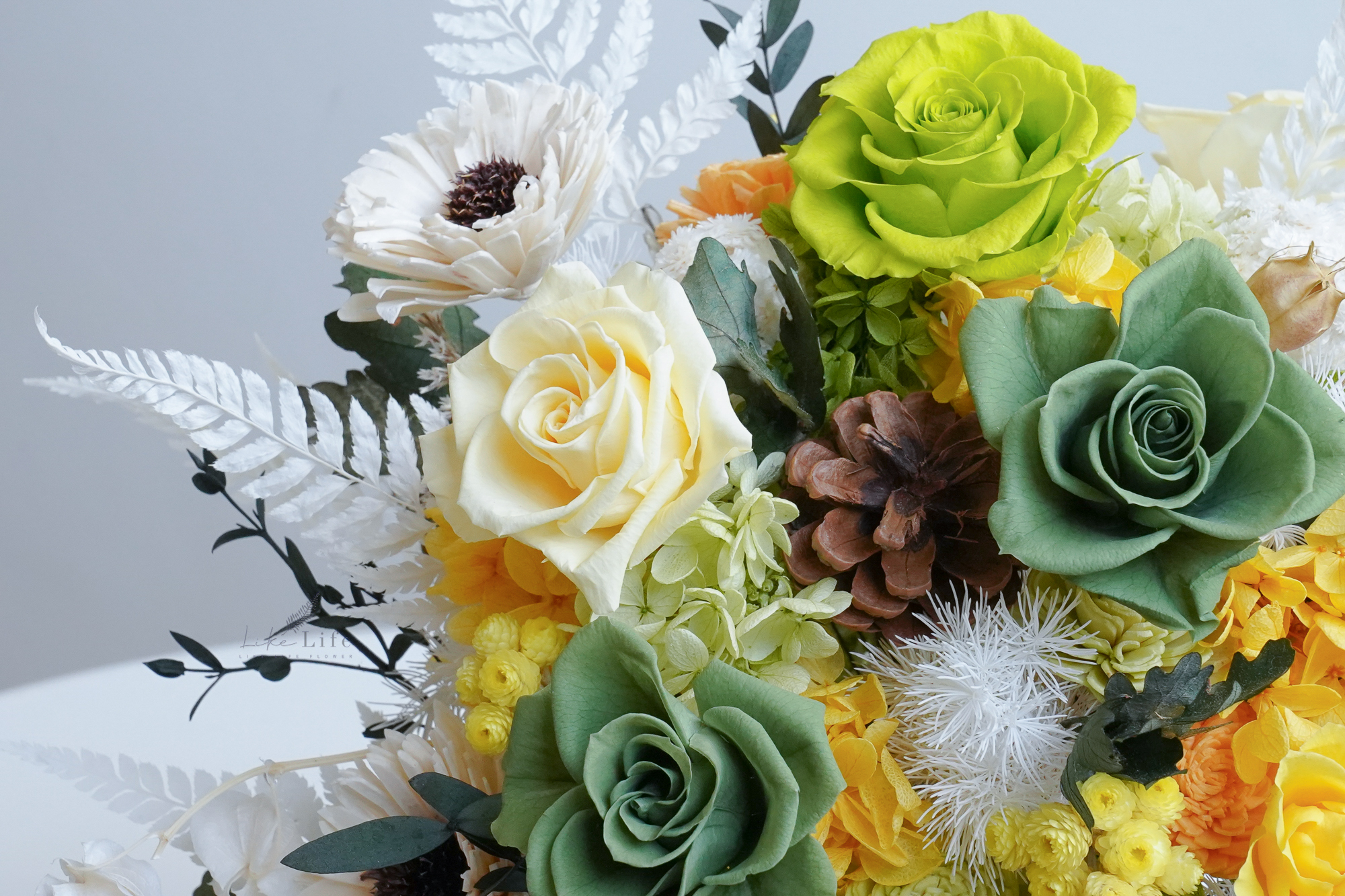 綠色永生花盆栽特寫,開幕盆栽推薦綠色,永生花綠色推薦