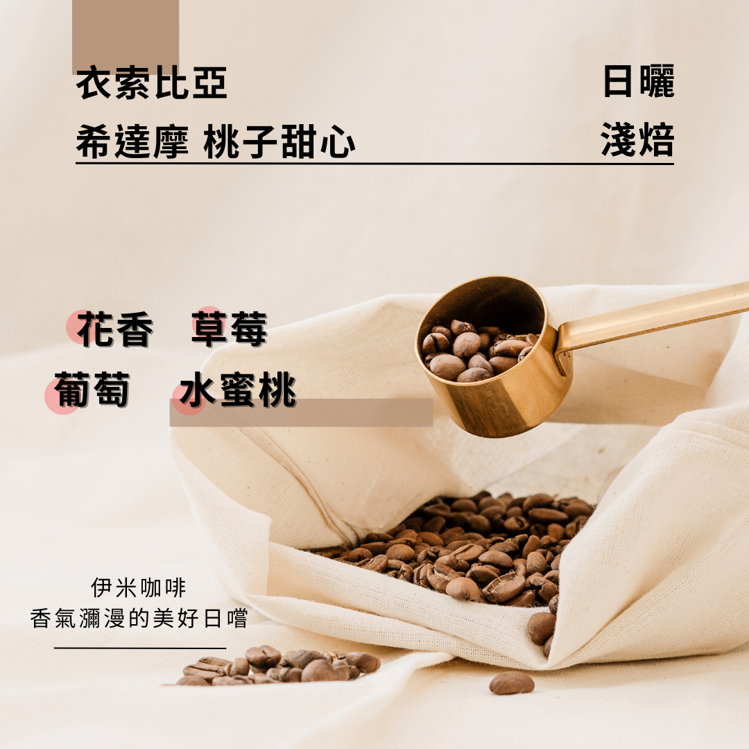 衣索比亞 日曬 希達摩  桃子甜心 /半磅
