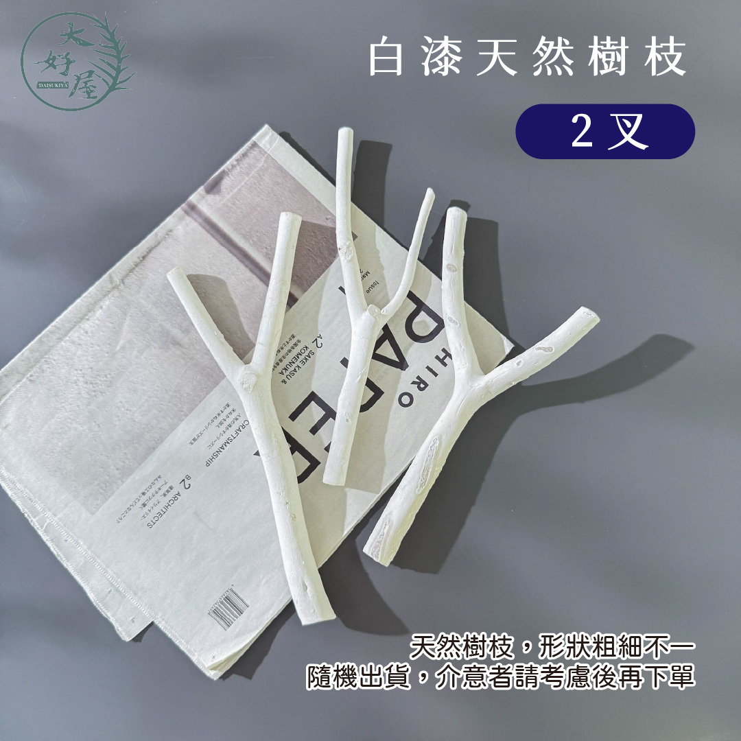 白漆天然樹枝
