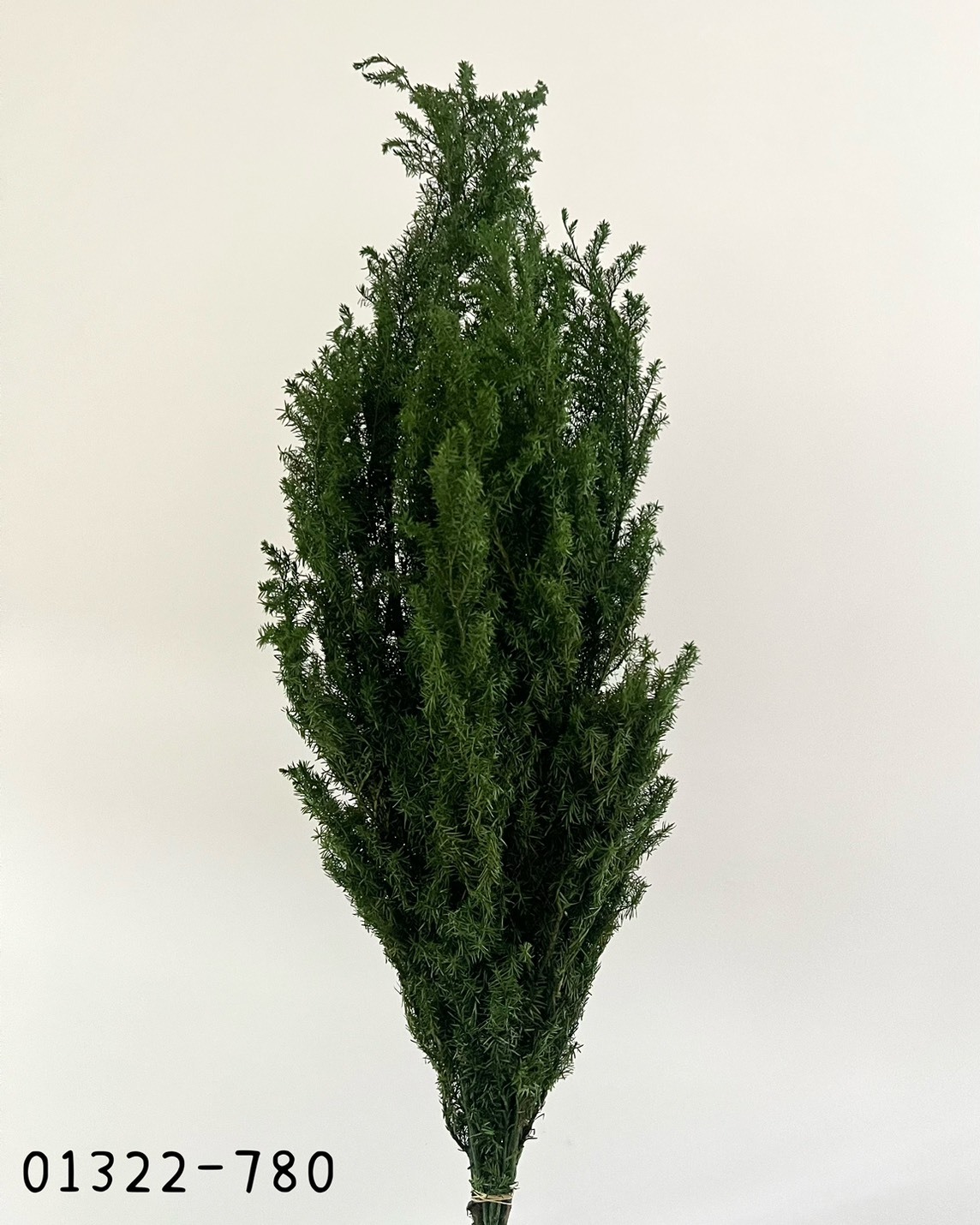 (優惠)日本不凋雪松(深綠)01322-780