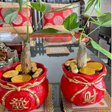 【台灣現貨速發】聚寶盆 紅福袋桶 插乾燥花盆 鮮花花器 新年桶 百福桶｜新年 開幕 賀新居系列