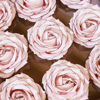 【台灣現貨速發】小香風畫線玫瑰 香皂花｜6.5-7 cm 5層大玫瑰單花頭｜單朵零售，１０朵以上贈鐵絲｜香皂玫瑰