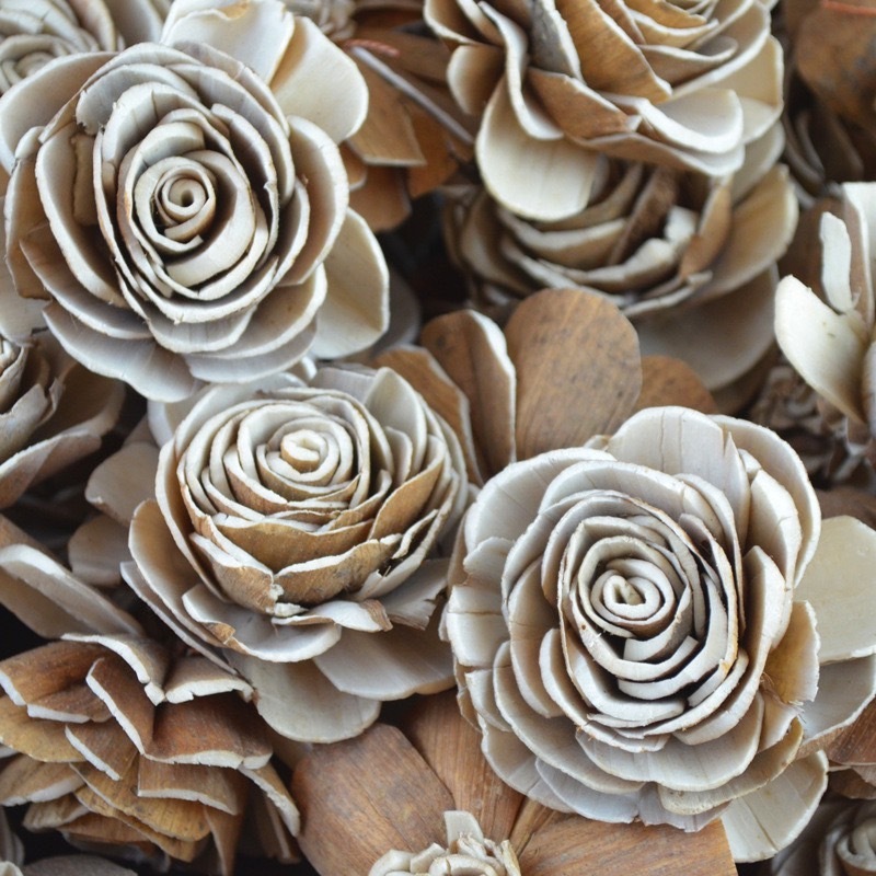 【台灣現貨速發】索拉木片玫瑰 6公分玫瑰樹皮花