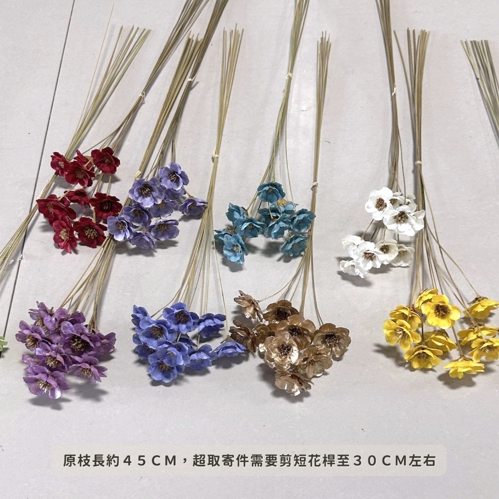 【台灣現貨速發】風鈴花［原裝］手工乾花 銀鈴花 乾燥花 花材｜整把賣場