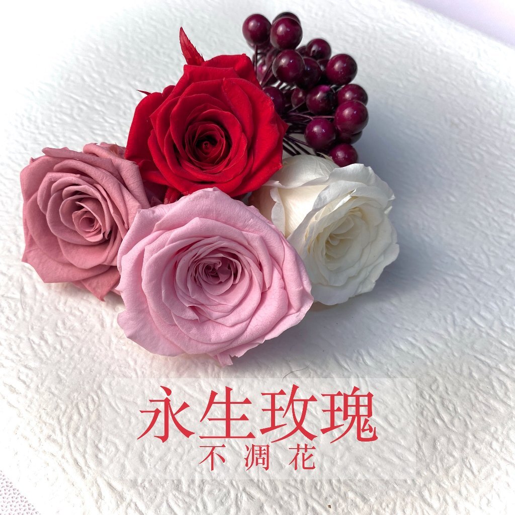 【台灣現貨速發】｜永生玫瑰花朵｜不凋花｜8朵裝｜
