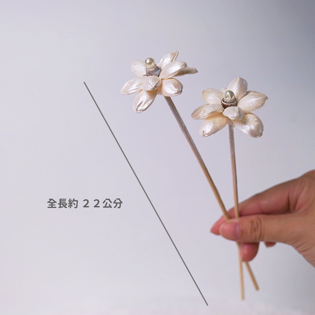 【台灣現貨速發】珍珠索拉睡蓮 索拉乾花 睡蓮 蓪草花 擴香花 珍珠花 蓪草植物