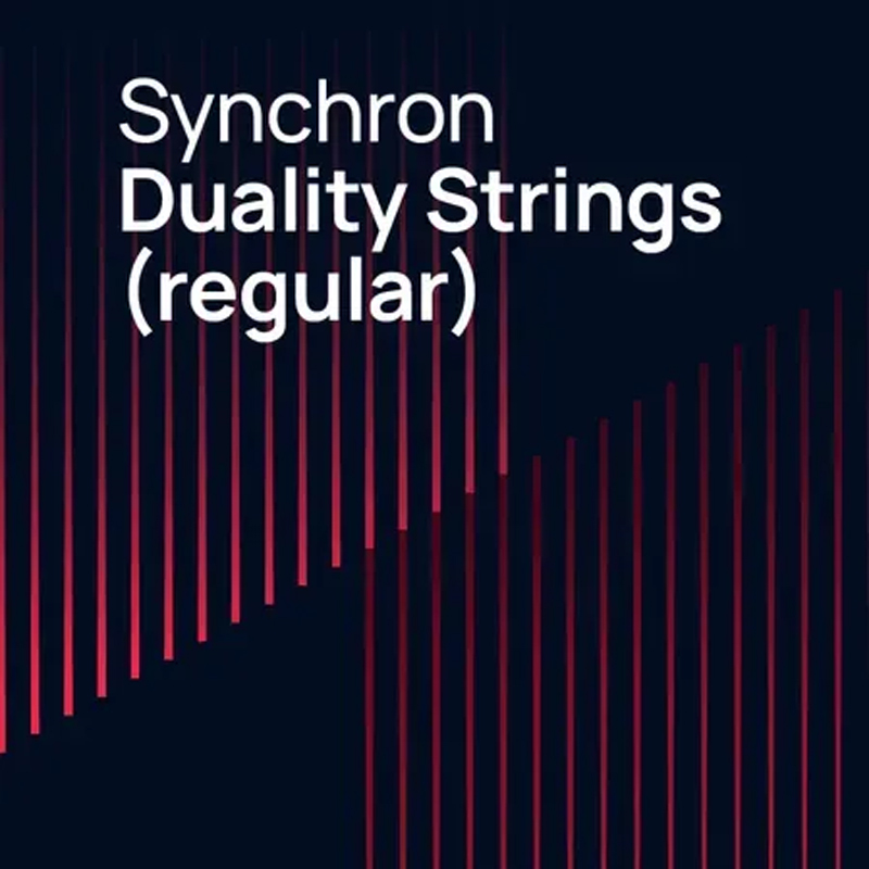 Vienna Symphonic Library Synchron Duality Strings (Regular)｜弦樂音色庫