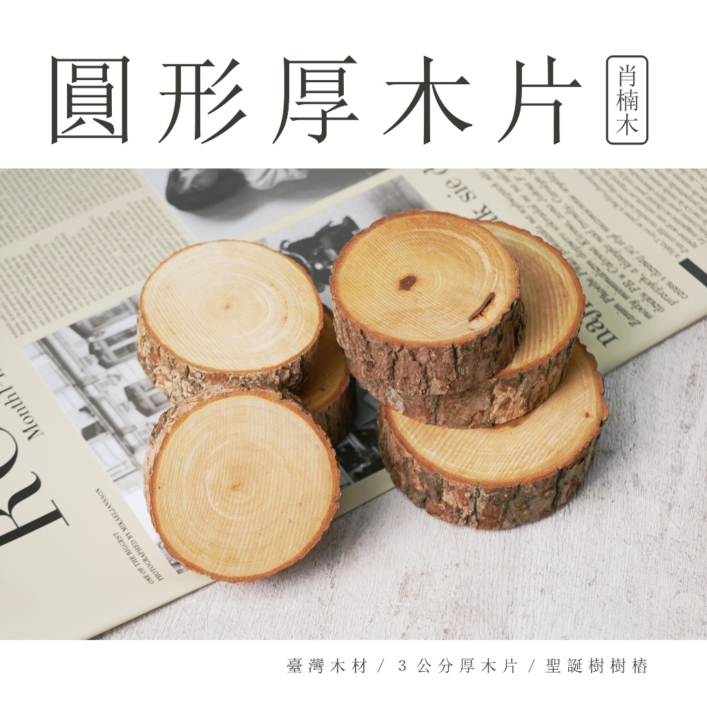 【台灣現貨速發】圓木片 厚木片 台灣樟木片 聖誕樹樁｜乾燥素材 木材 聖誕節