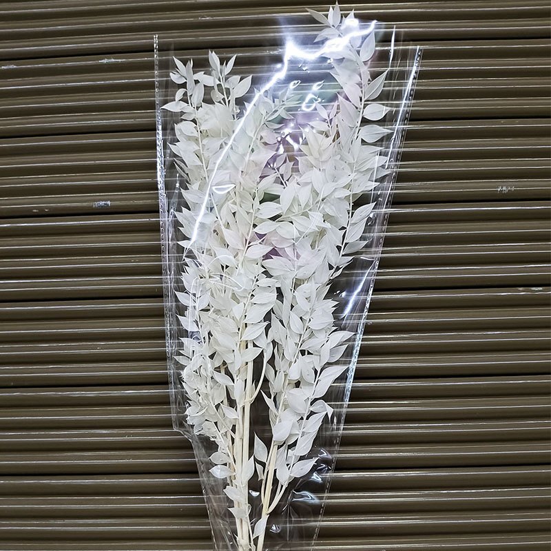 【台灣現貨速發】富貴葉 漂色富貴葉 金銀富貴葉｜乾燥花 葉材