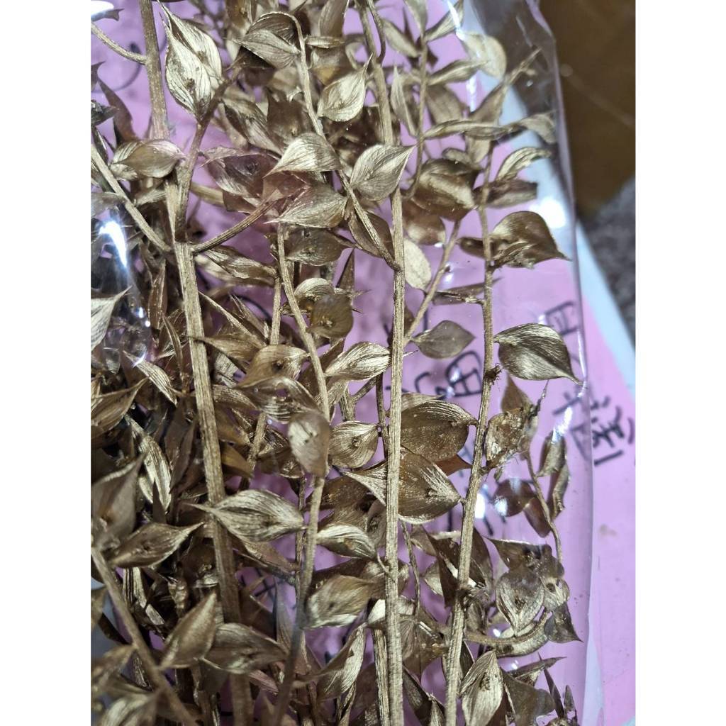 【台灣現貨速發】富貴葉 漂色富貴葉 金銀富貴葉｜乾燥花 葉材