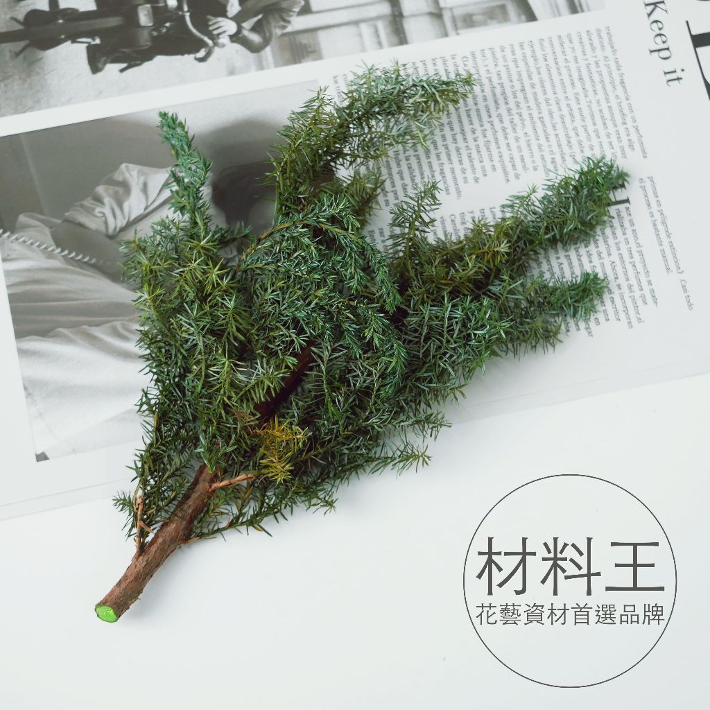 【台灣現貨速發】雪松 日本花柏 大地農園雪松｜01320-700,0132-722&780｜小份量分裝｜聖誕節 聖誕素材