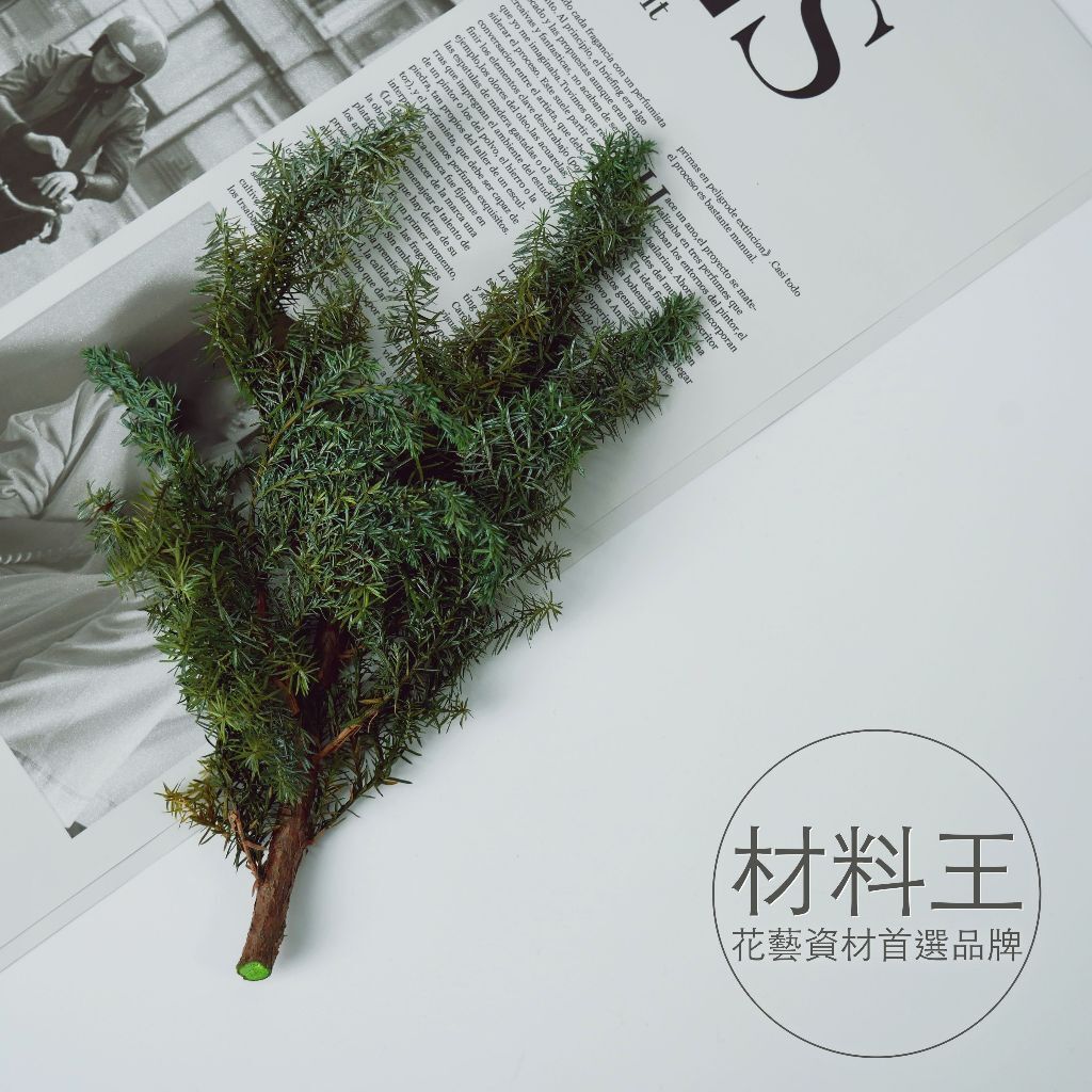 【台灣現貨速發】雪松 日本花柏 大地農園雪松｜01320-700,0132-722&780｜小份量分裝｜聖誕節 聖誕素材
