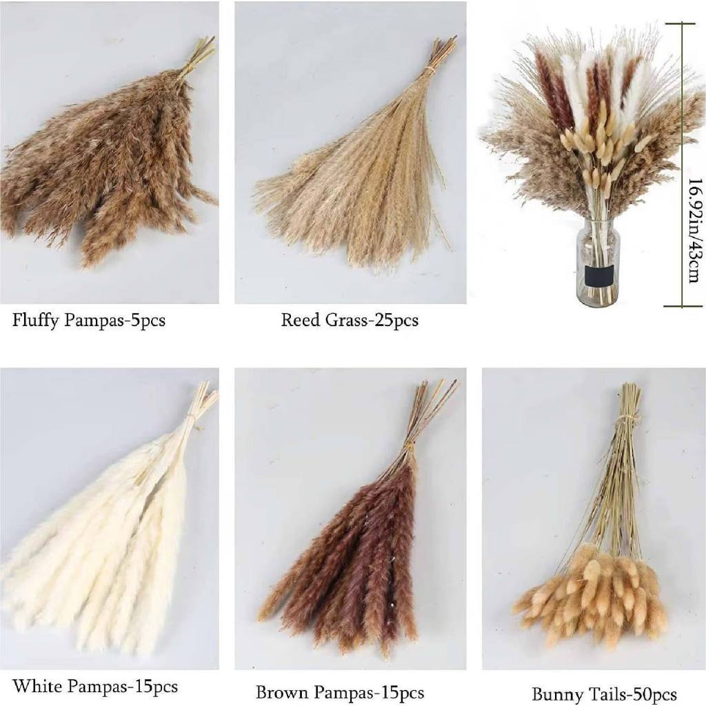 【台灣現貨速發】兔尾草 蘆葦 綜合乾燥花材 组合花材｜兔尾 潘帕斯草｜花束 ins 北歐風 乾燥花 室內裝飾