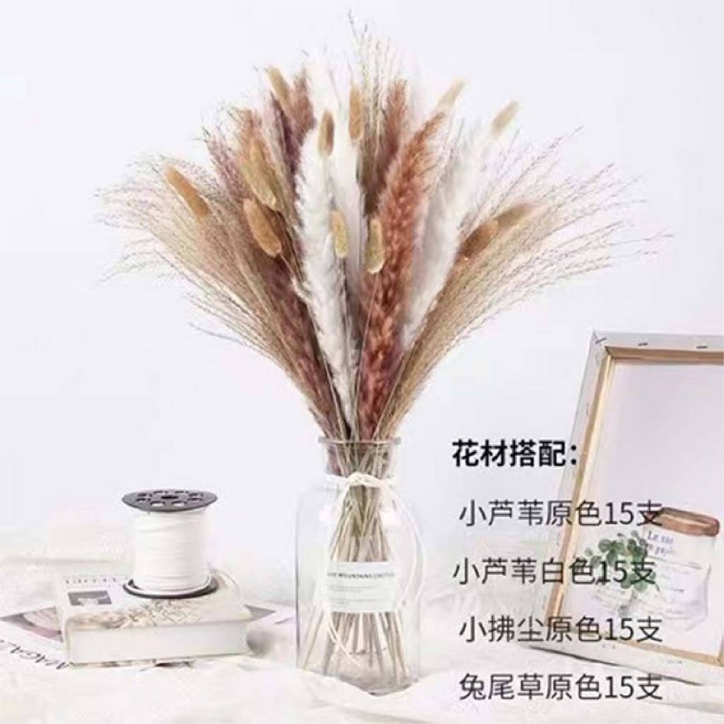 【台灣現貨速發】兔尾草 蘆葦 綜合乾燥花材 组合花材｜兔尾 潘帕斯草｜花束 ins 北歐風 乾燥花 室內裝飾