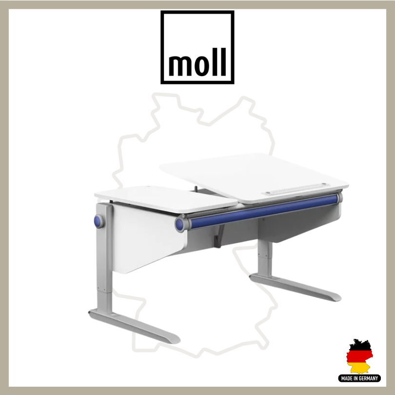 Moll Winner Split - 121cm
