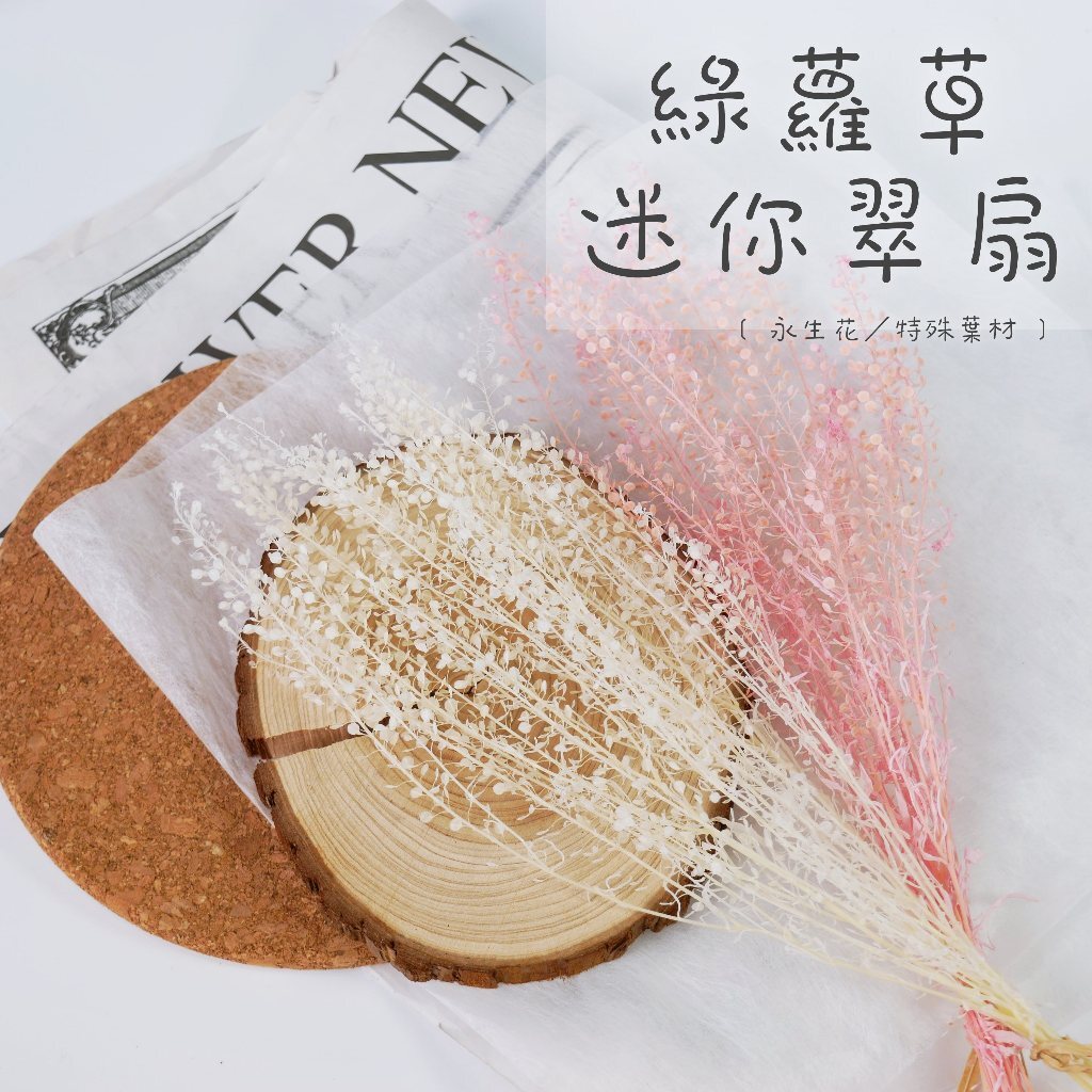 【台灣現貨速發】永生迷你翠扇 綠蘿草 永生花｜花束 永生花藝 葉材 乾燥花