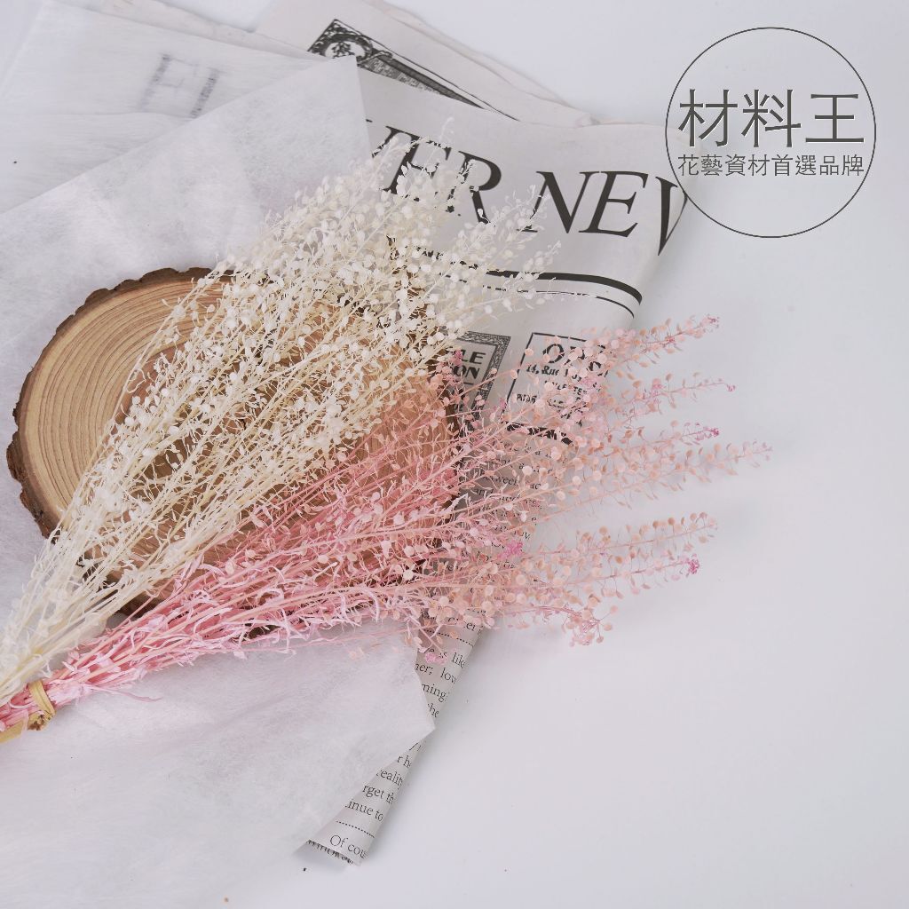 【台灣現貨速發】永生迷你翠扇 綠蘿草 永生花｜花束 永生花藝 葉材 乾燥花