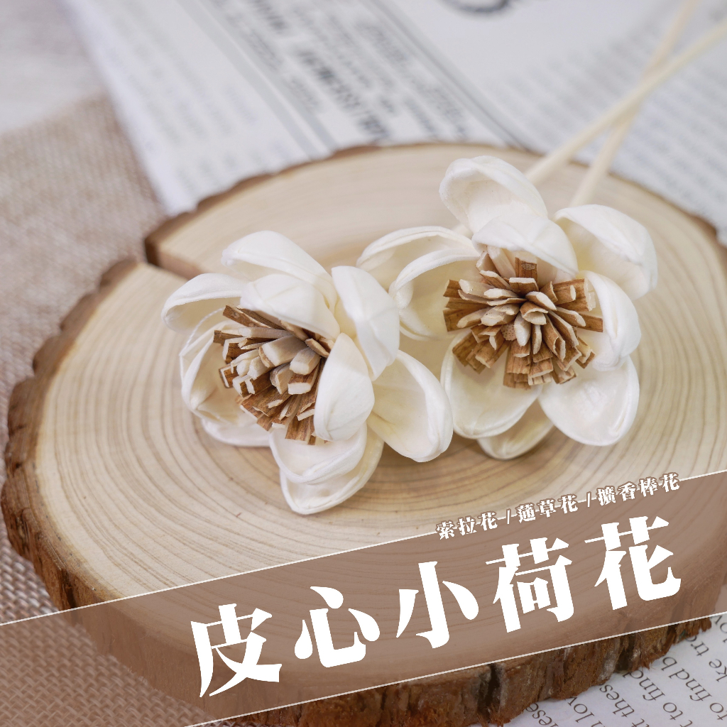 【台灣現貨速發】索拉乾花 通草花 擴香花 擴香棒｜皮心荷花 荷花 ６公分｜索拉花 蓪草花｜乾燥花 花束 人造花