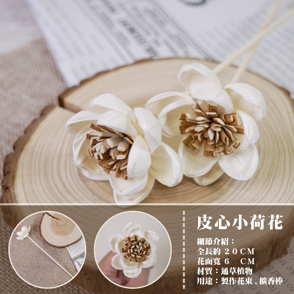 【台灣現貨速發】索拉乾花 通草花 擴香花 擴香棒｜皮心荷花 荷花 ６公分｜索拉花 蓪草花｜乾燥花 花束 人造花