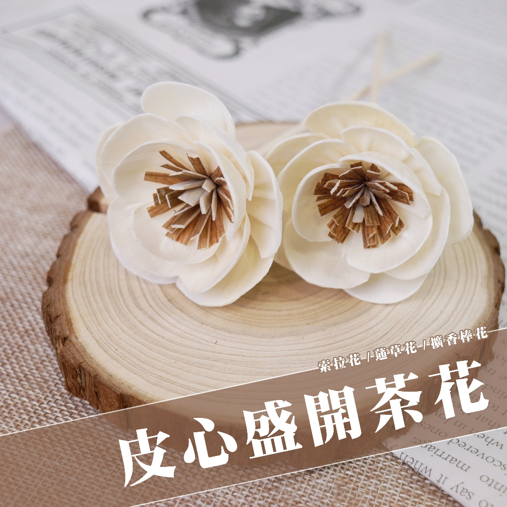 【台灣現貨速發】索拉乾花 通草花 擴香花 擴香棒｜ 皮心盛開茶花 茶花 ６公分｜索拉花 蓪草花｜人造花 乾燥花