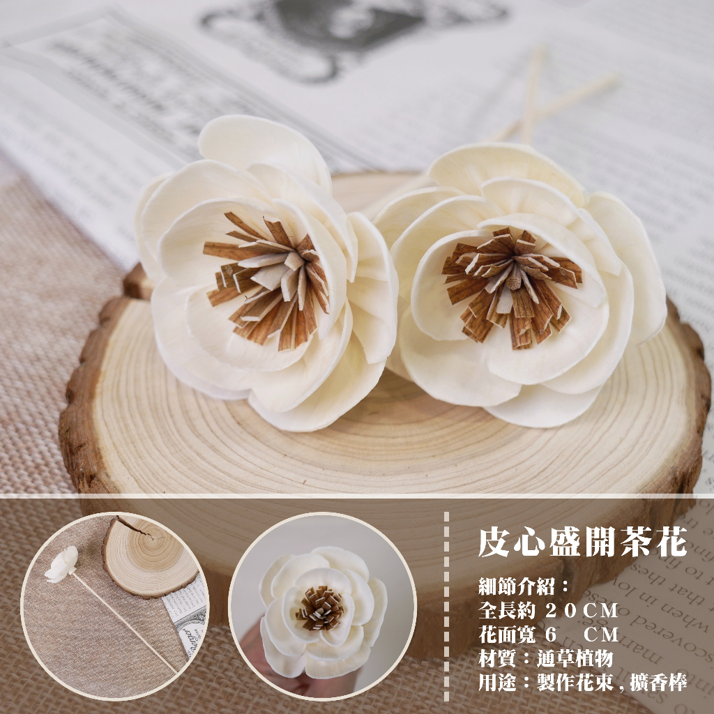 【台灣現貨速發】索拉乾花 通草花 擴香花 擴香棒｜ 皮心盛開茶花 茶花 ６公分｜索拉花 蓪草花｜人造花 乾燥花
