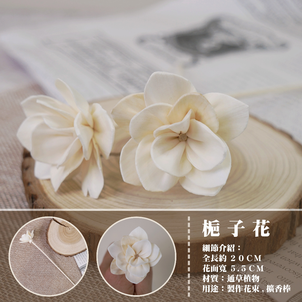 【台灣現貨速發】索拉乾花 通草花 擴香花 擴香棒｜梔子花 5.5 公分｜索拉花 蓪草花｜乾燥花 花束 人造花