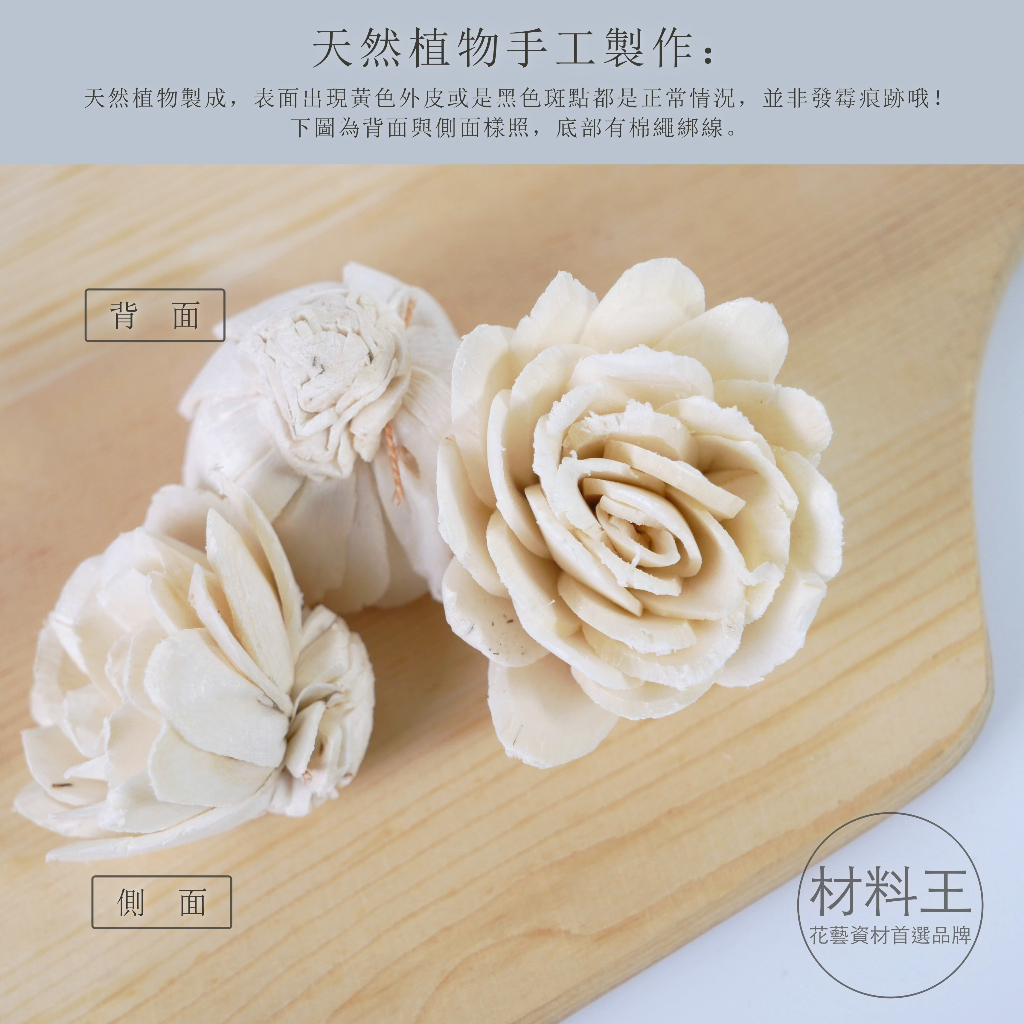 【台灣現貨速發】蓪草花頭 索拉花 索拉 擴香花 雙層太陽｜太陽花 大麗花 香薰玫瑰 非洲菊 向日葵 太陽花 不凋花 乾燥