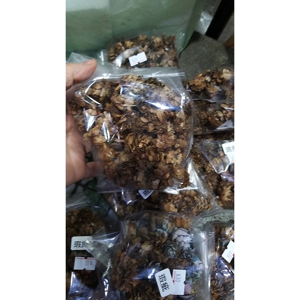 【台灣現貨速發】小瑕疵迷你松果［福利品］聖誕節 毬果｜1-3公分松果 1包30元