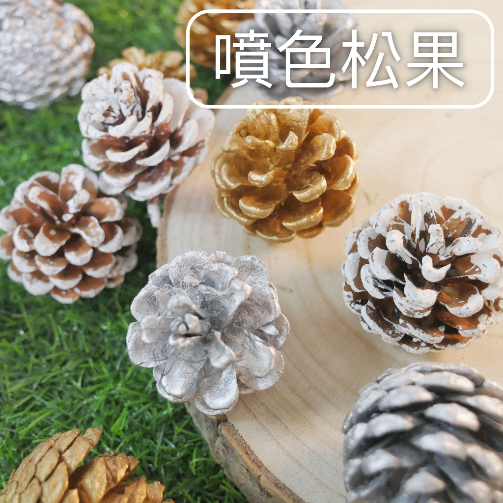 【台灣現貨速發】松果 噴金銀 噴雪白｜球果 毬果 聖誕節 聖誕裝飾