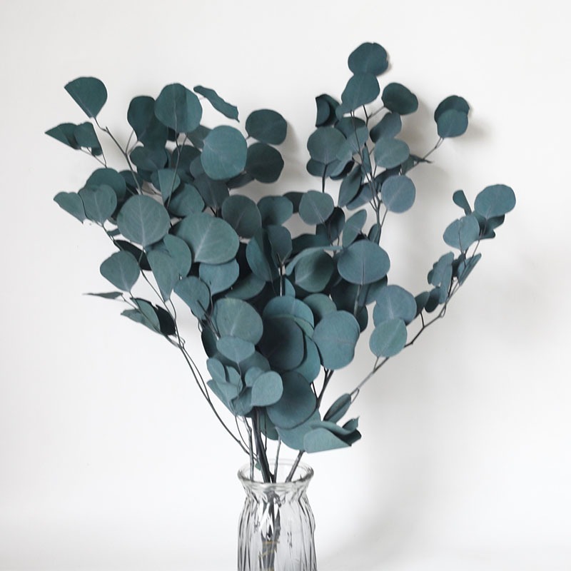 【台灣現貨速發】永生蘋果葉 圓葉桉 大圓葉 永生葉材 永生花材