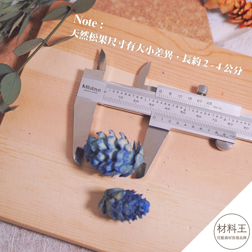 聖誕節 彩色松果 松果 染色 毬果 |  2-4公分 | 最少出貨１０個 聖誕樹裝飾 花圈裝飾 落羽松 乾燥花 乾燥素材