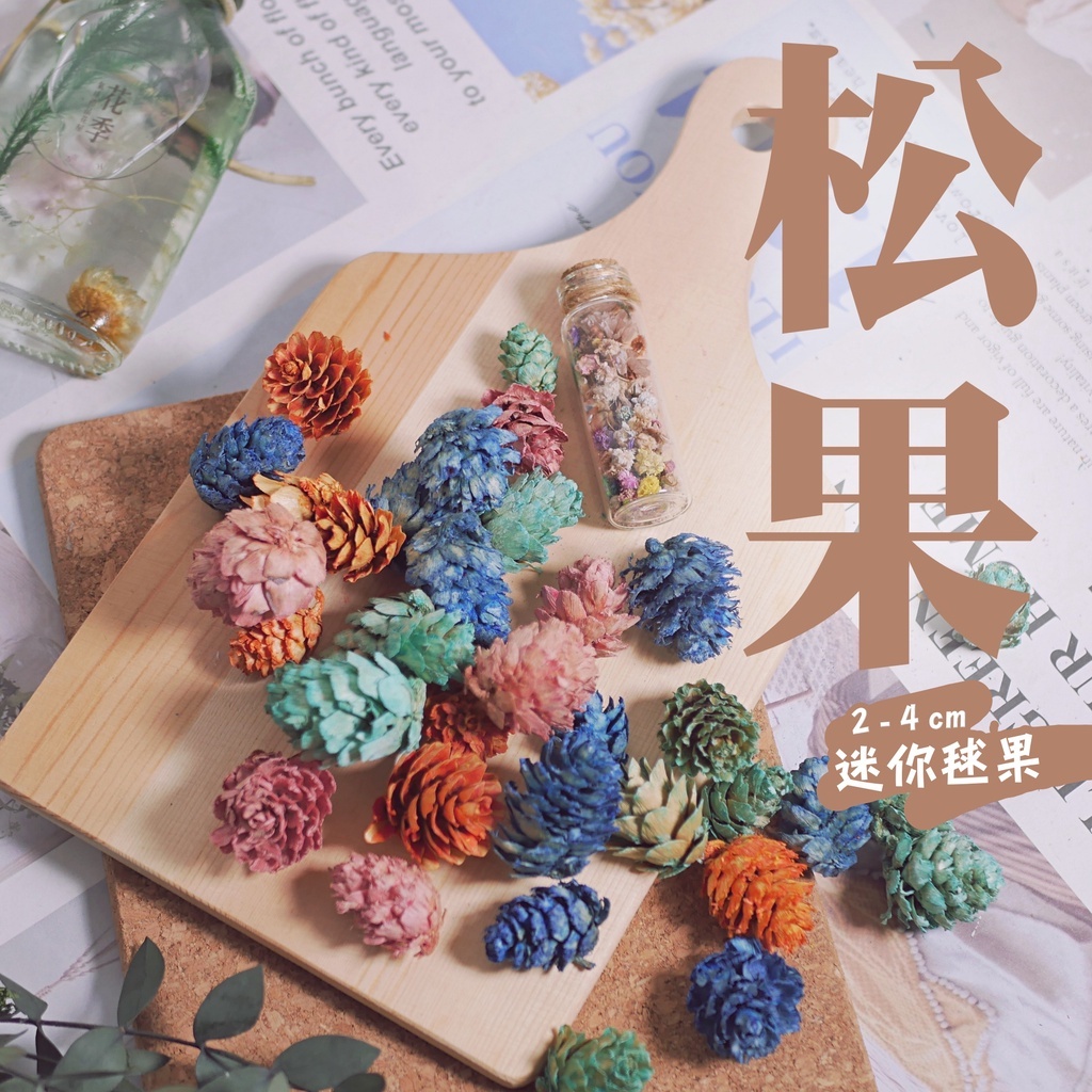 聖誕節 彩色松果 松果 染色 毬果 |  2-4公分 | 最少出貨１０個 聖誕樹裝飾 花圈裝飾 落羽松 乾燥花 乾燥素材