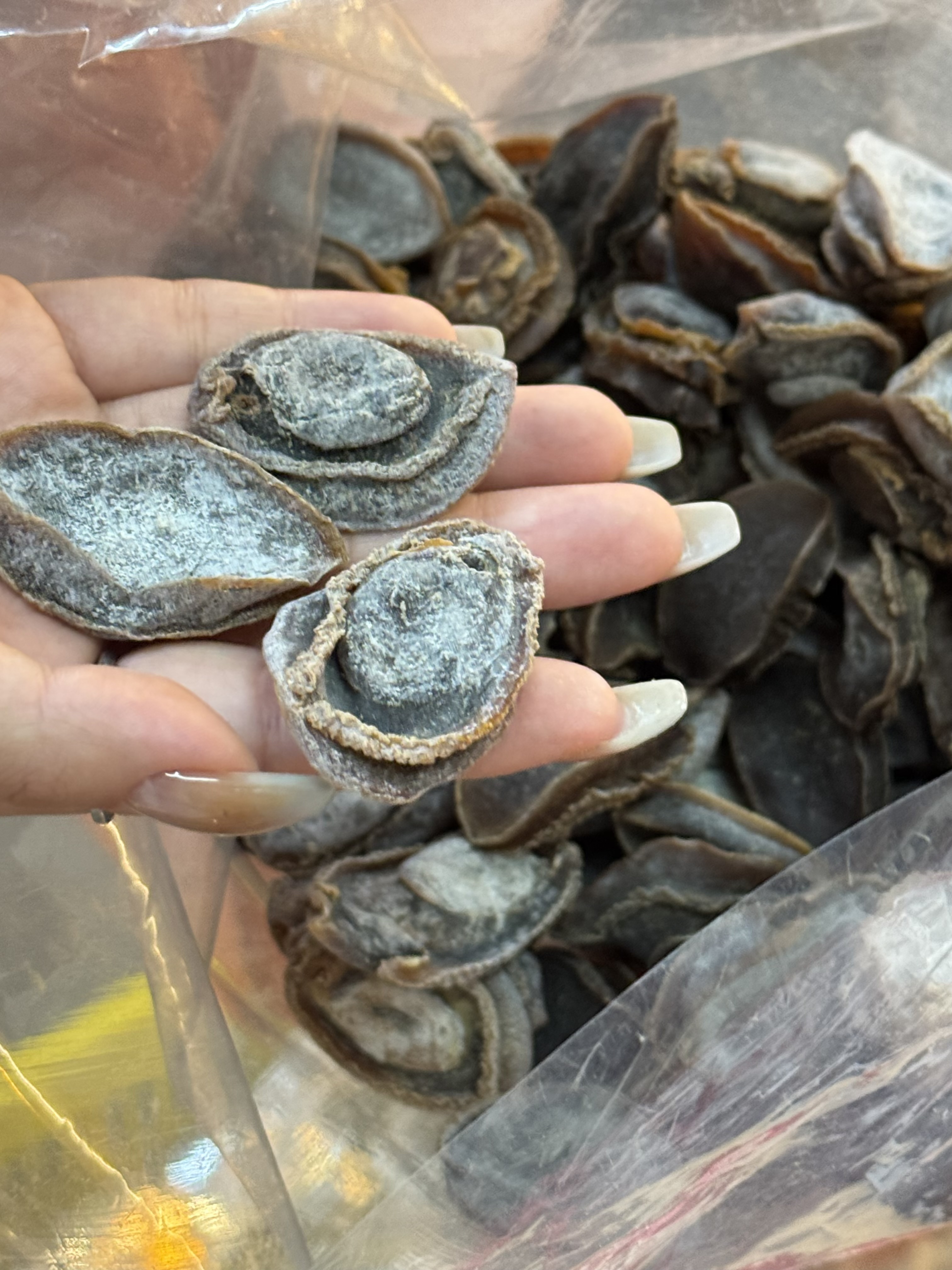 (4335) 老身南非吉品鮑魚200g(大約19-21隻）