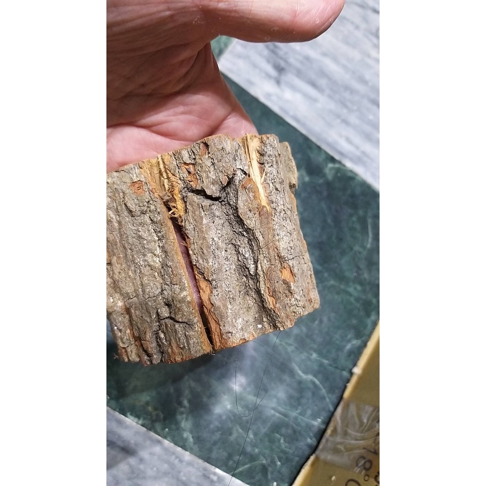 【台灣現貨速發】樹皮木桶 花盆 樹幹花器 聖誕節花器 聖誕樹底座