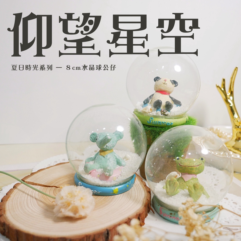 【台灣現貨速發】仰望星空『夏日時光』水晶球 微景觀 小公仔 樹脂玩偶 多肉植物 公仔