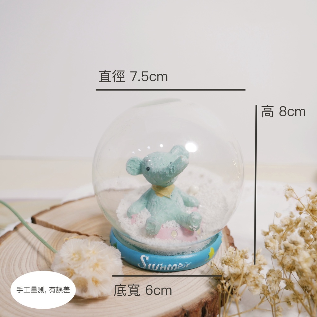 【台灣現貨速發】仰望星空『夏日時光』水晶球 微景觀 小公仔 樹脂玩偶 多肉植物 公仔