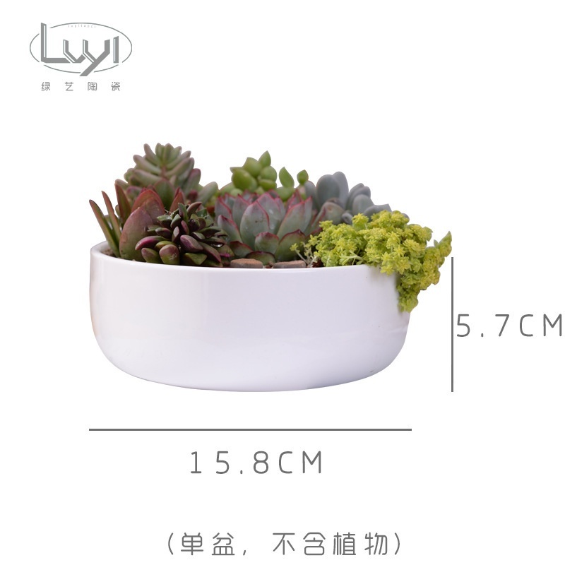【台灣現貨速發】大圓白瓷盆 圓型花器 白色瓷器｜種多肉 多肉植物盆器
