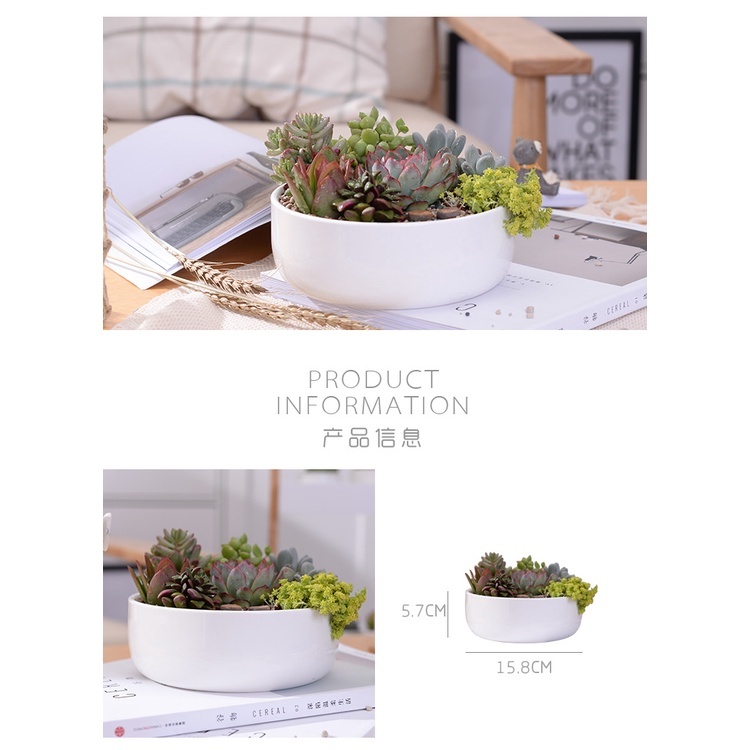 【台灣現貨速發】大圓白瓷盆 圓型花器 白色瓷器｜種多肉 多肉植物盆器