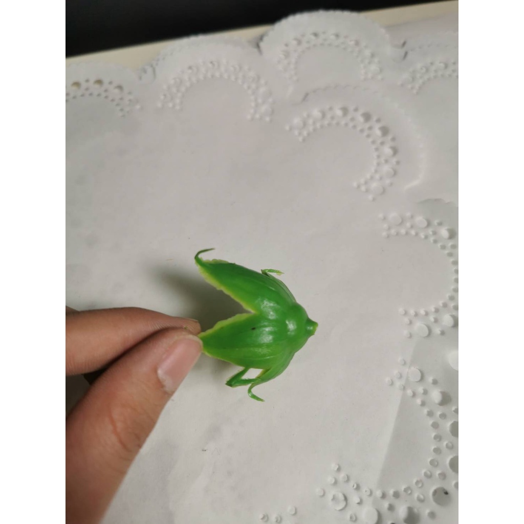 【台灣現貨速發】花萼 花托 香皂花配件 | 1個1元 | 特價出清
