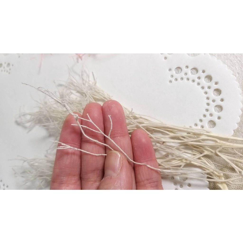 【台灣現貨速發】乾燥花材------柔絲//夢幻草//龍鬚草