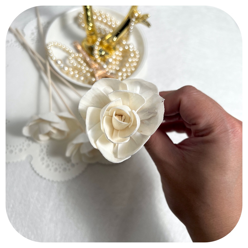 【台灣現貨速發】索拉乾花 銀蓮花 盛開玫瑰 通草花 索拉花 擴香花｜5-6 公分｜乾燥花 花束 人造花