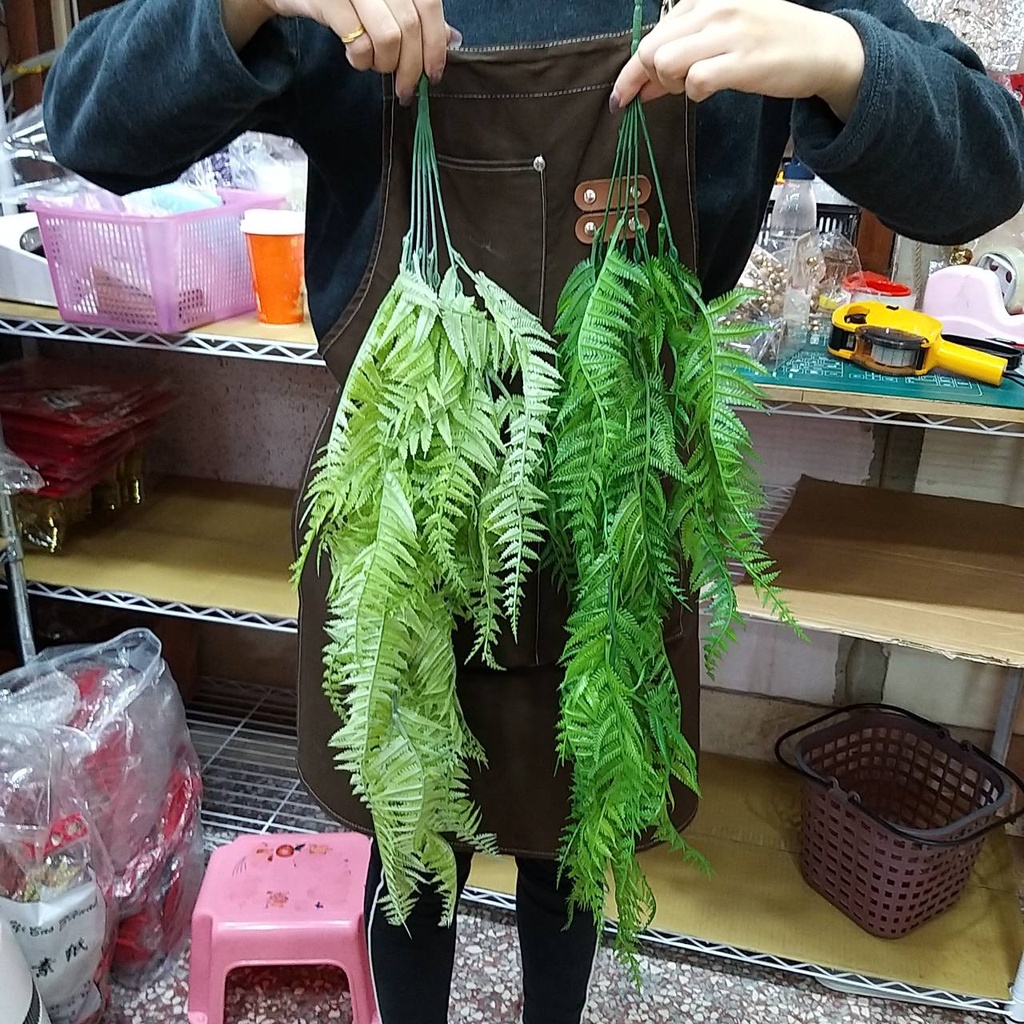 【台灣現貨速發】仿真羊齒 蕨類 垂藤｜仿真蕨類 玉羊齒