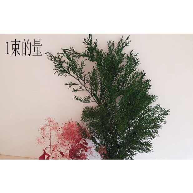 【台灣現貨速發】聖誕節 花圈材料 永生松柏 永生扁柏 永生花材｜一把帶花梗約１００Ｇ