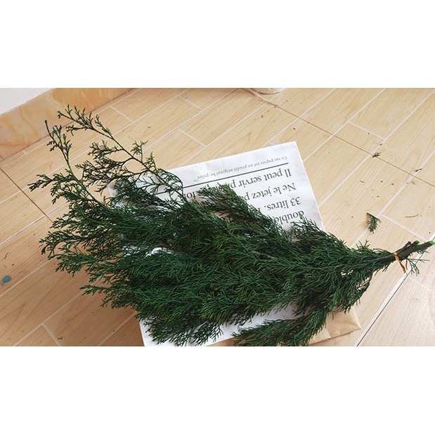 【台灣現貨速發】聖誕節 花圈材料 永生松柏 永生扁柏 永生花材｜一把帶花梗約１００Ｇ