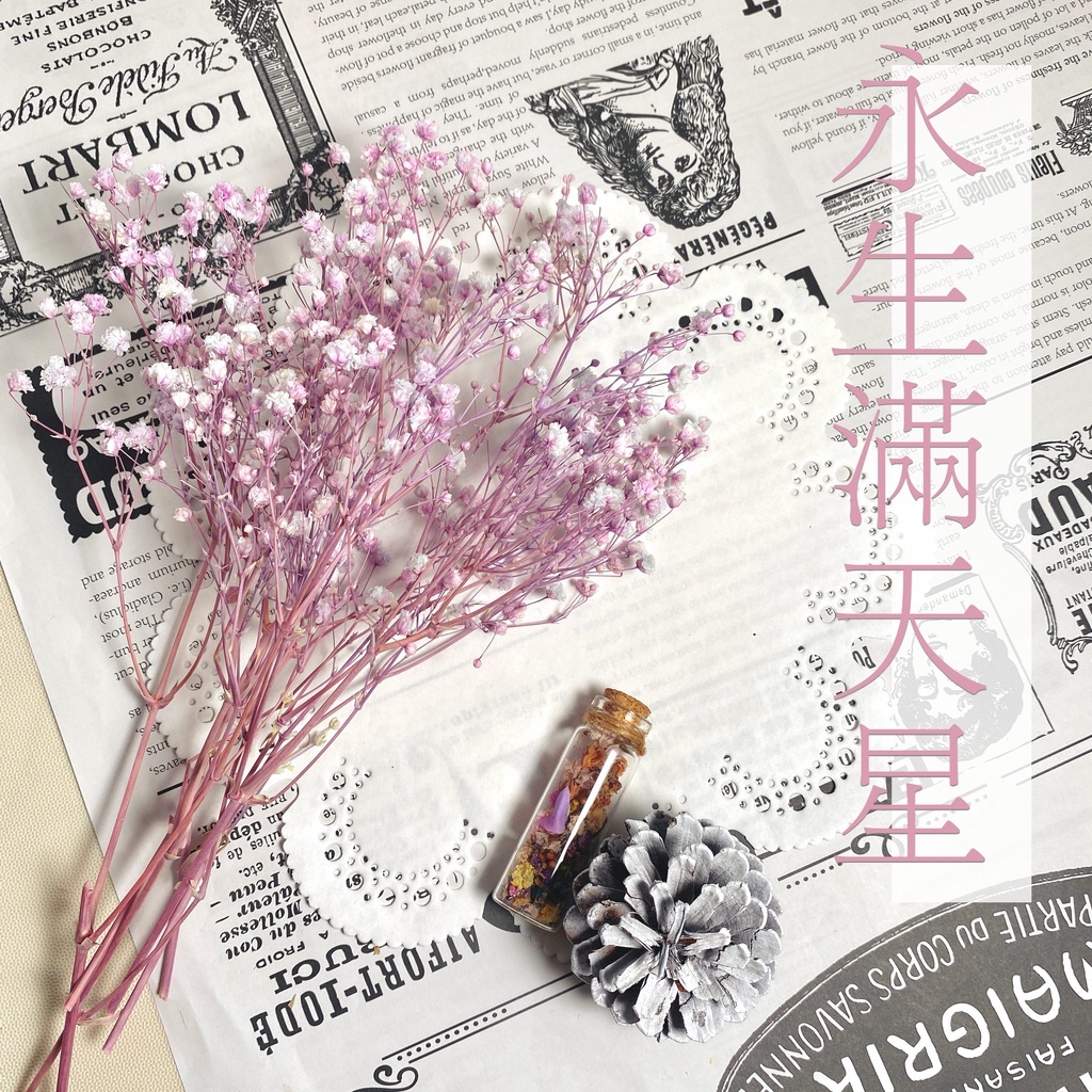 【台灣現貨速發】永生滿天星 滿天星 ｜多種顏色｜永生花 包裝花束