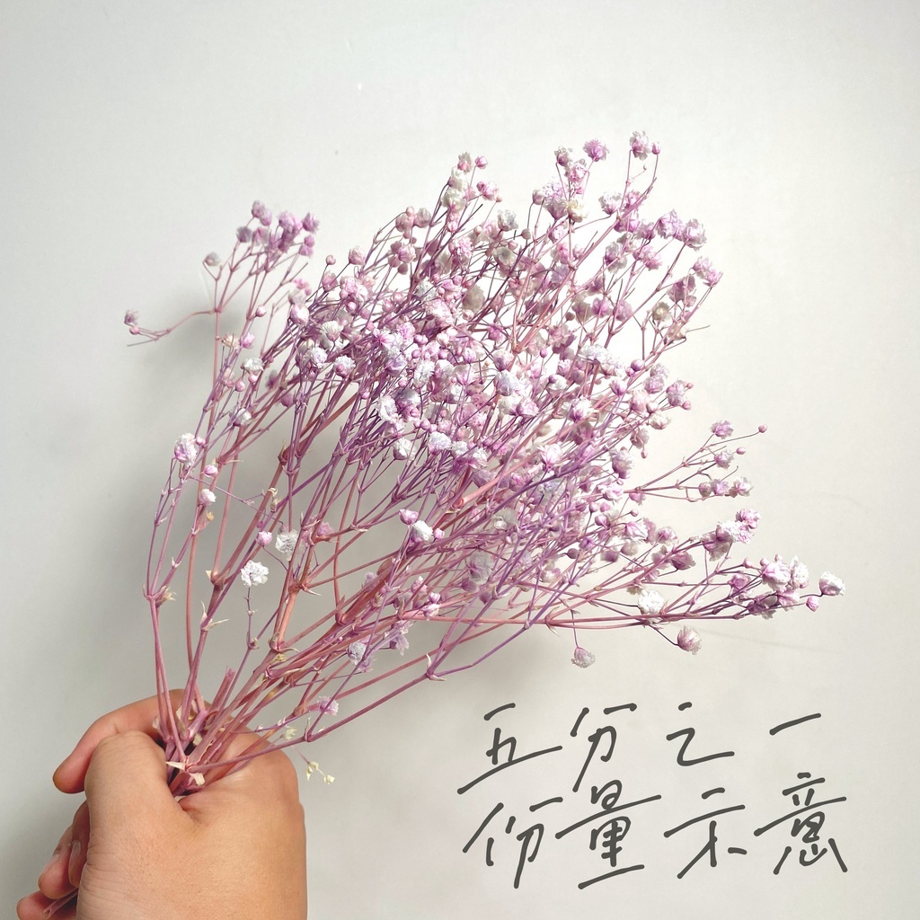 【台灣現貨速發】永生滿天星 滿天星 ｜多種顏色｜永生花 包裝花束