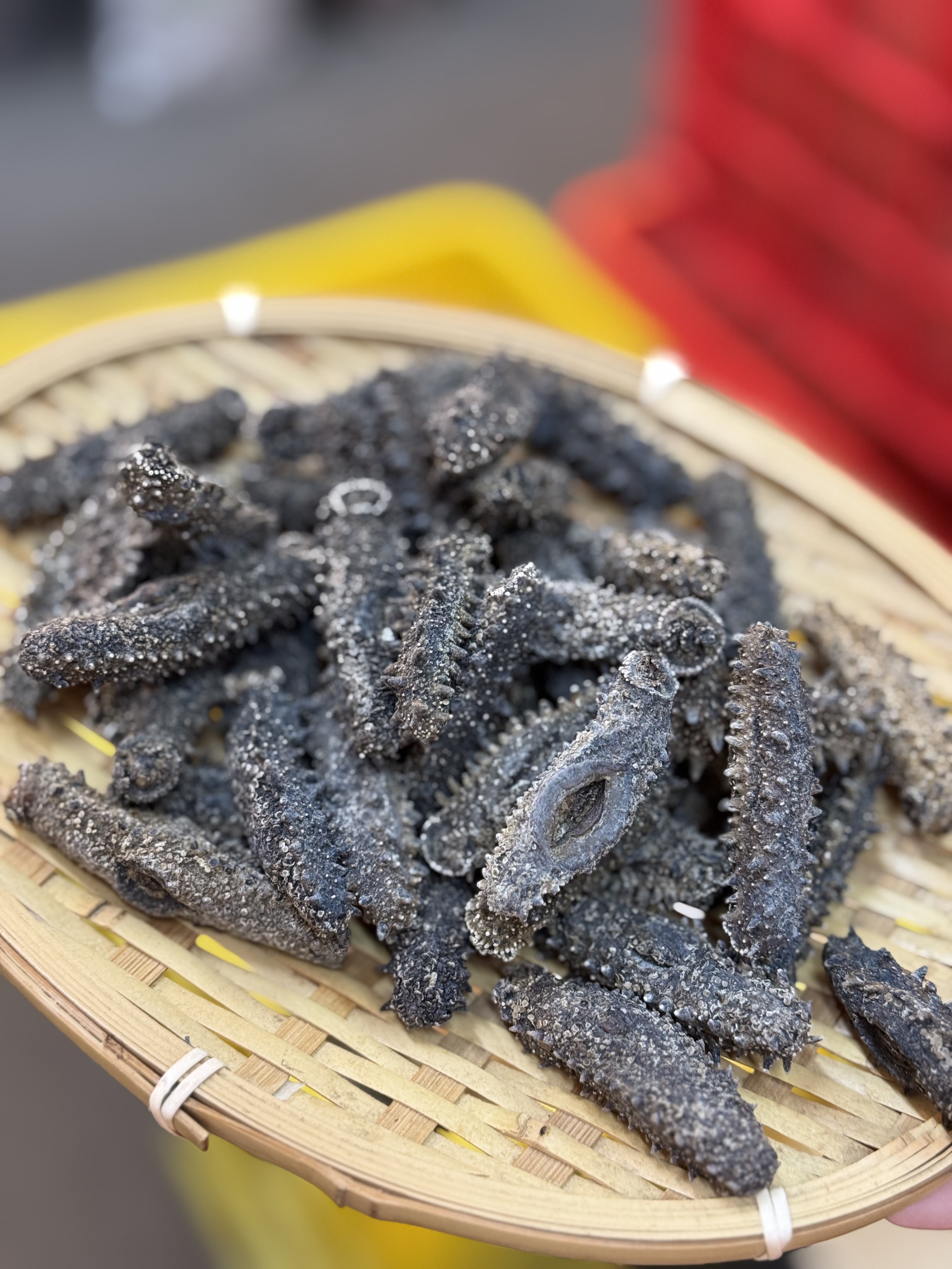 （4338）80-90頭北海道遼參200g(約20-30條）