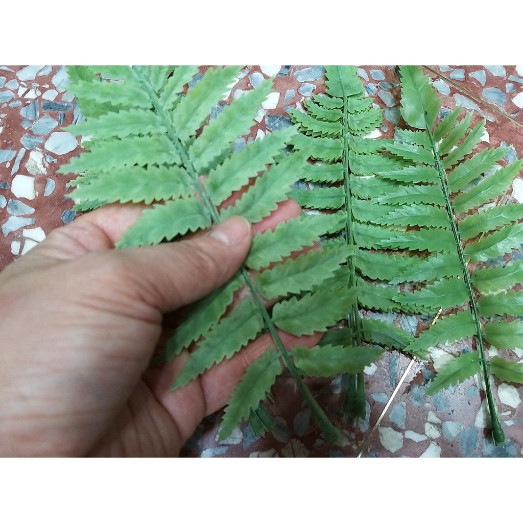 【台灣現貨速發】聖誕花圈材料 小高山羊齒 結霜羊齒｜單支小葉系列｜聖誕圈 花圈 聖誕節