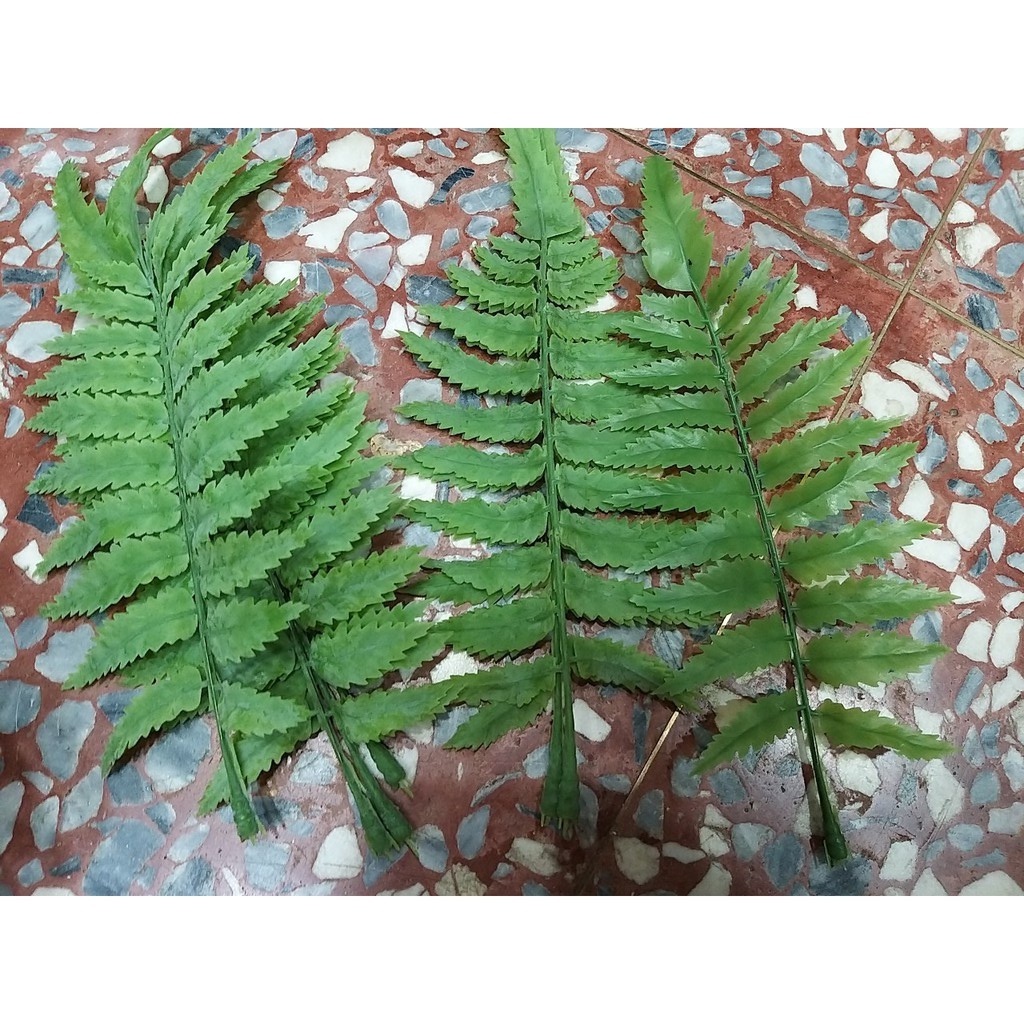 【台灣現貨速發】聖誕花圈材料 小高山羊齒 結霜羊齒｜單支小葉系列｜聖誕圈 花圈 聖誕節